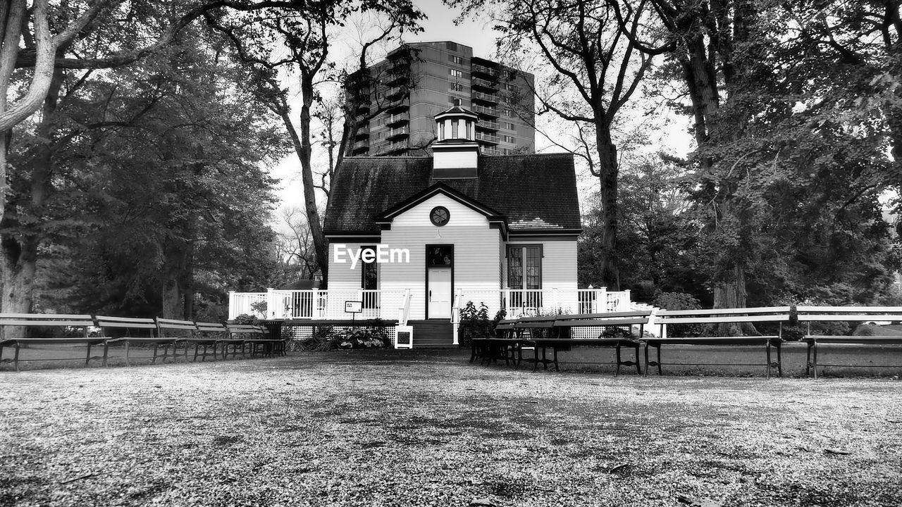 tree, built structure, architecture, plant, building exterior, black and white, monochrome photography, monochrome, nature, building, day, place of worship, no people, religion, belief, park, spirituality, outdoors, bench, seat, park - man made space, house, catholicism