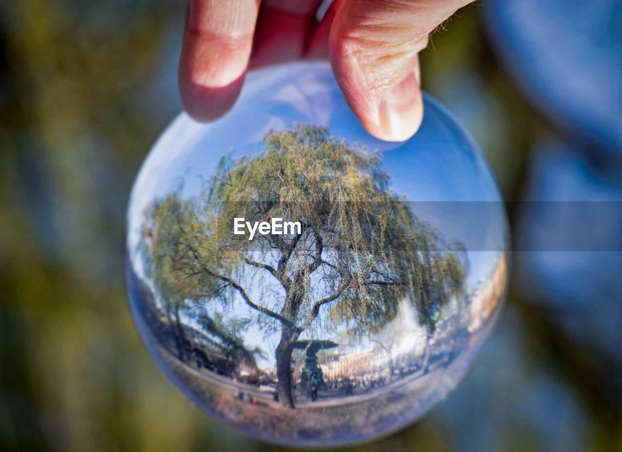 Cropped hand of person holding crystal ball