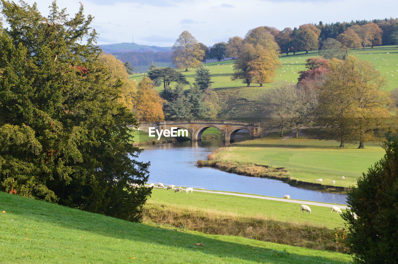 SCENIC VIEW OF BRIDGE OVER RIVER AGAINST TREES DURING AUTUMN