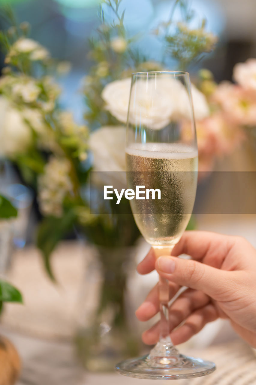 Cropped hand of woman holding champagne flute