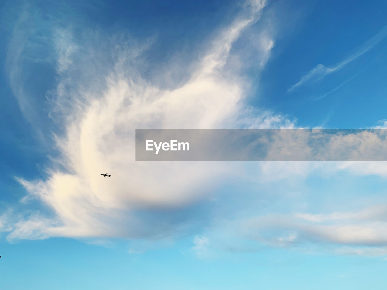 LOW ANGLE VIEW OF A BIRD FLYING