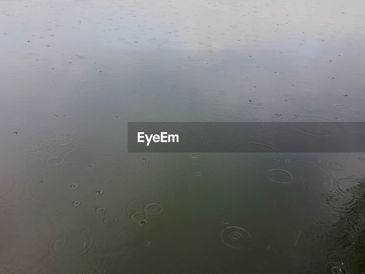 HIGH ANGLE VIEW OF RAINDROPS ON WATER