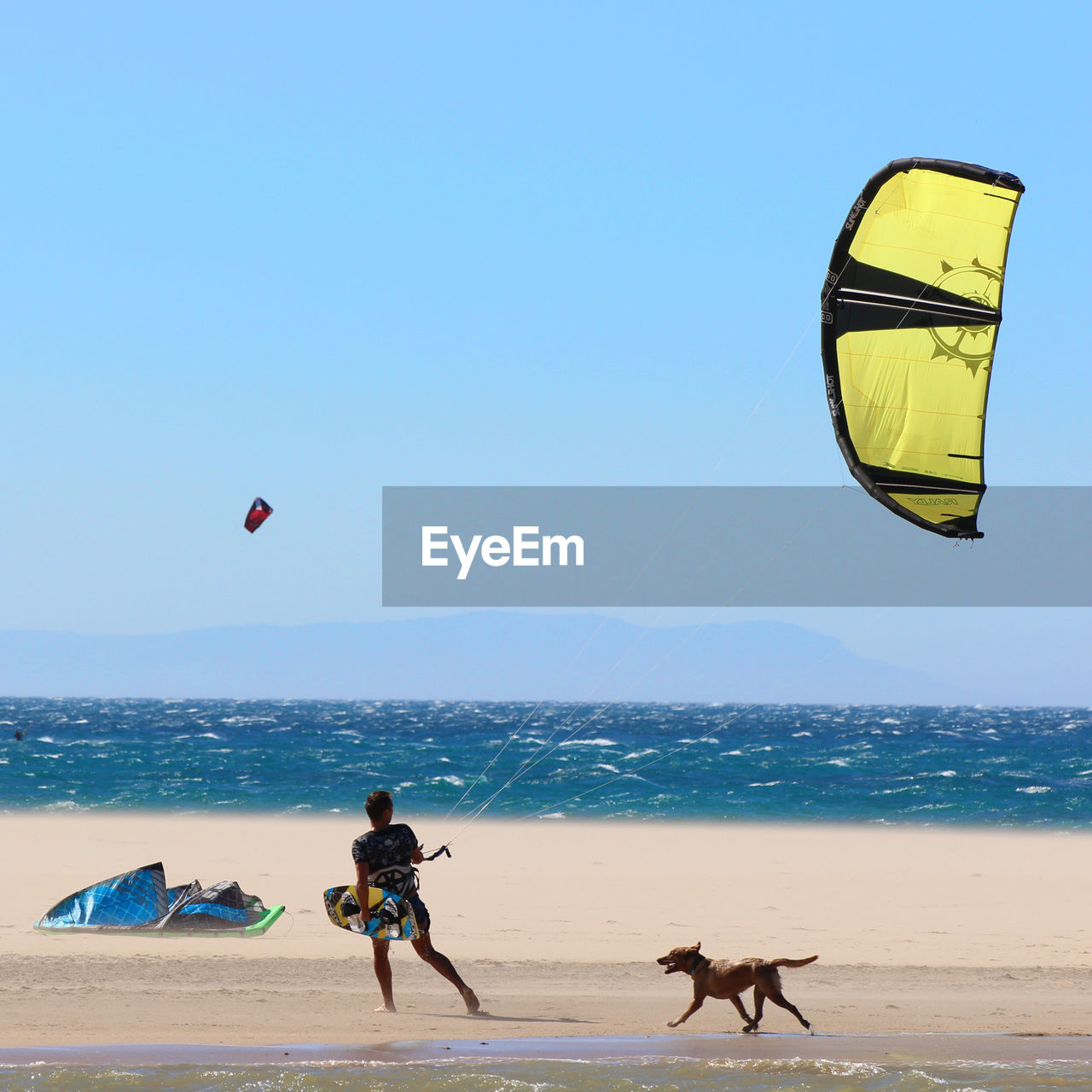 Man flying kite at beach against clear blue sky