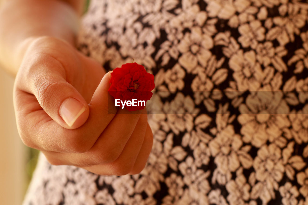 Close-up midsection of woman holding red flower