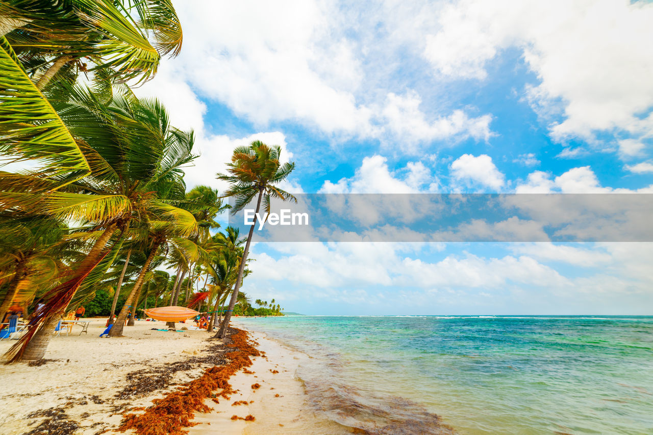 PALM TREES ON BEACH AGAINST SKY