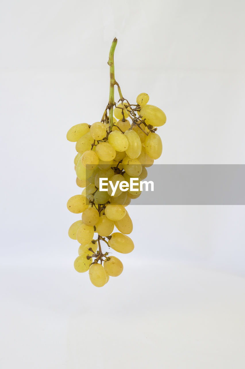 yellow, grape, produce, healthy eating, food and drink, fruit, studio shot, sultana, food, plant, indoors, wellbeing, no people, freshness, flower, nature, white background, close-up, still life, copy space, bunch