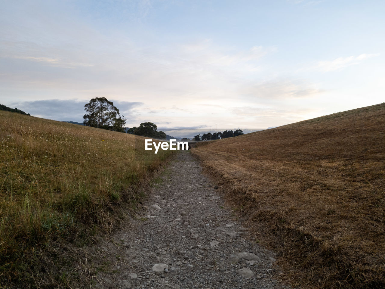 sky, landscape, environment, hill, horizon, cloud, land, nature, plant, scenics - nature, field, rural area, grass, road, beauty in nature, footpath, the way forward, no people, dirt road, tranquility, soil, rural scene, morning, non-urban scene, transportation, dirt, prairie, outdoors, natural environment, tranquil scene, travel, sunlight, tree, diminishing perspective, day, travel destinations, horizon over land, plain, vanishing point, agriculture