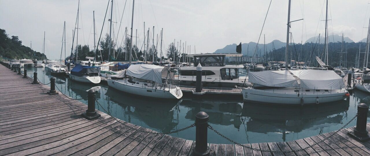 SAILBOATS IN HARBOR