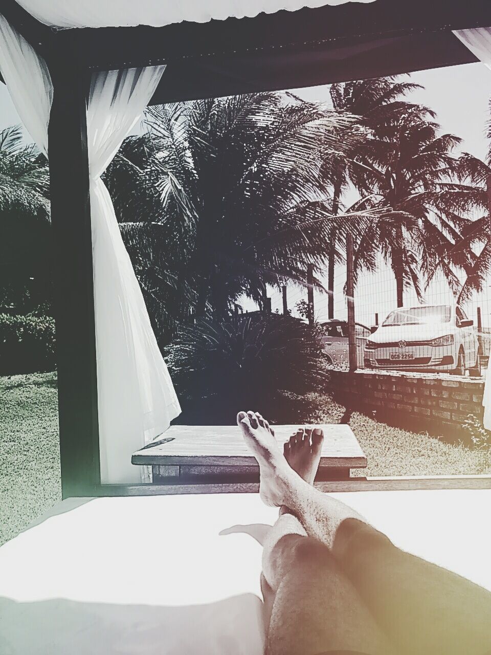 LOW SECTION OF MAN RESTING IN FRONT OF PALM TREES