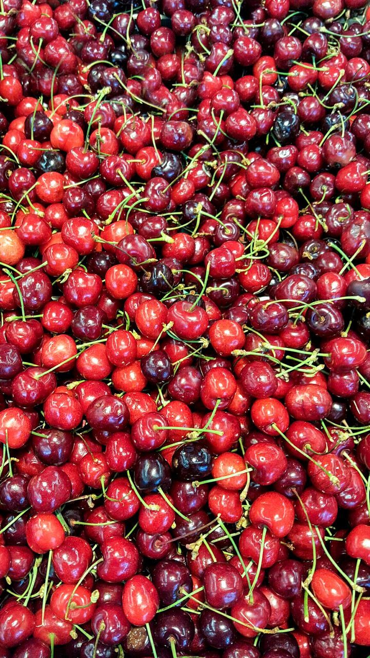 FULL FRAME SHOT OF BERRIES