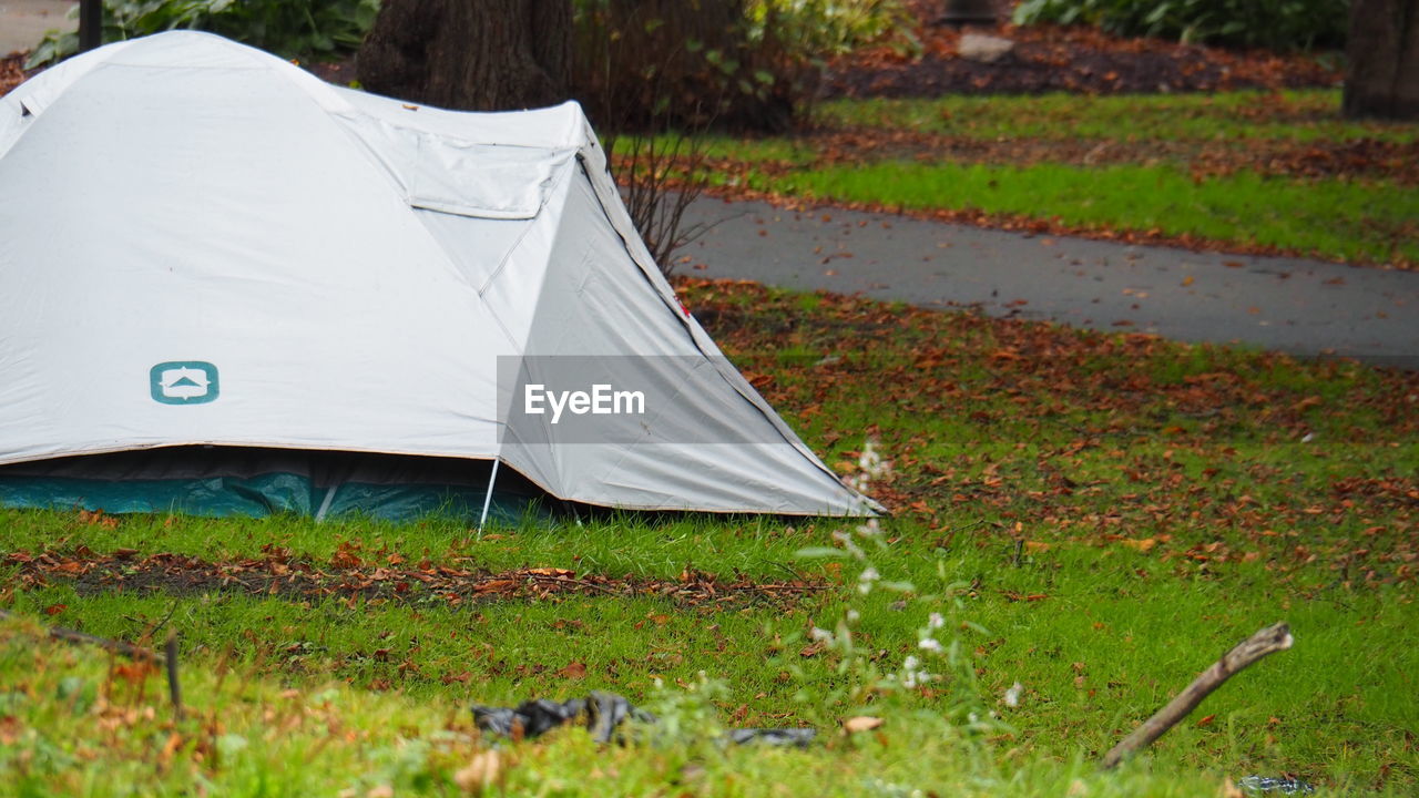 plant, grass, tent, nature, camping, no people, day, green, tree, land, outdoors, environment, field, beauty in nature, leisure activity