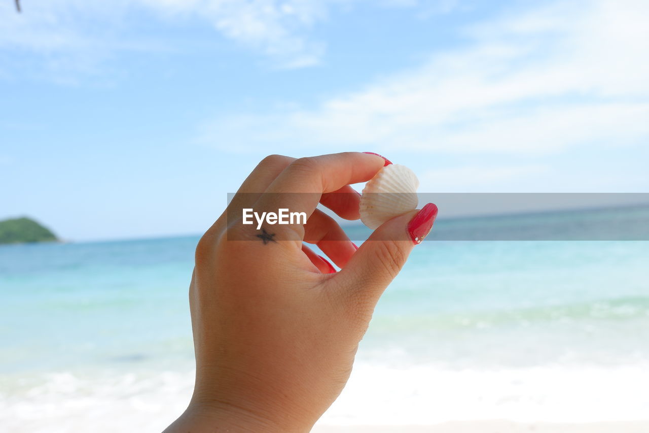 Cropped hand of woman holding seashell at beach