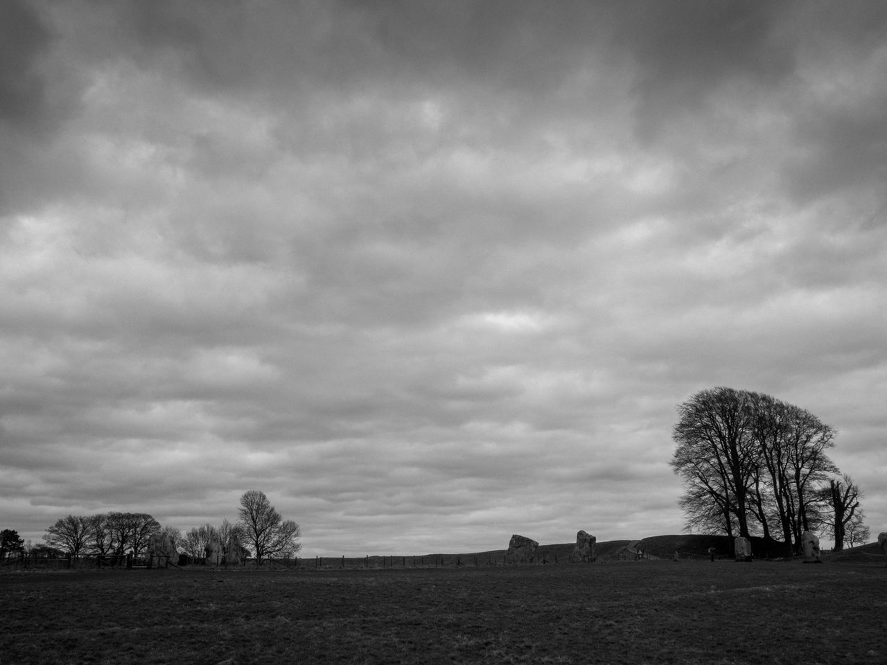 TREES ON LANDSCAPE AGAINST CLOUDY SKY