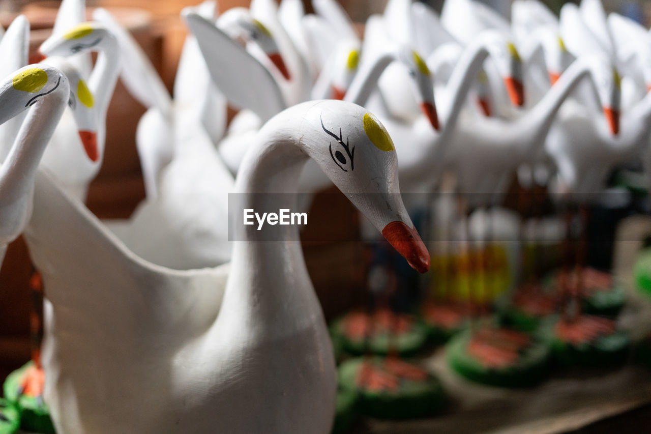 animal, bird, animal themes, no people, water bird, white, animal wildlife, animal representation, wildlife, close-up, focus on foreground, flower, nature, representation, food