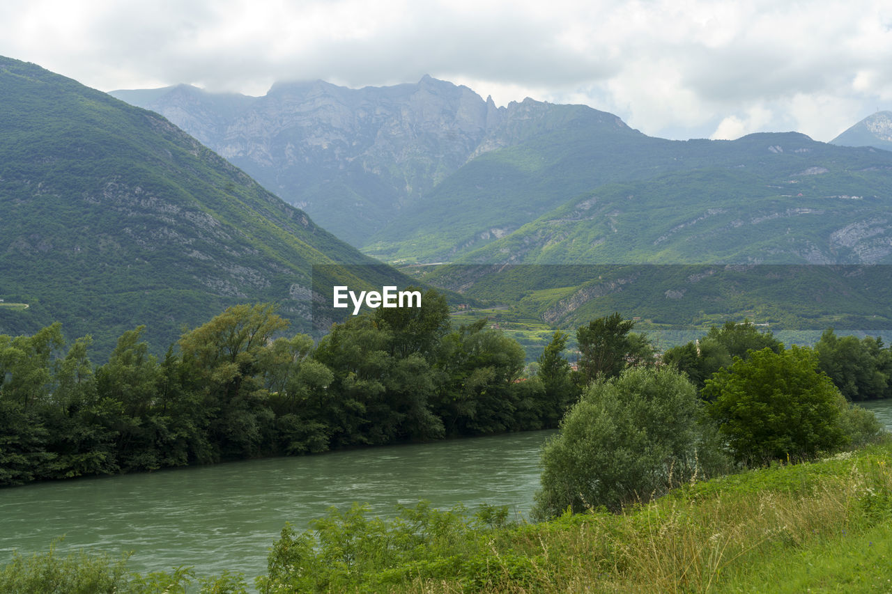 SCENIC VIEW OF RIVER AMIDST TREES AGAINST SKY