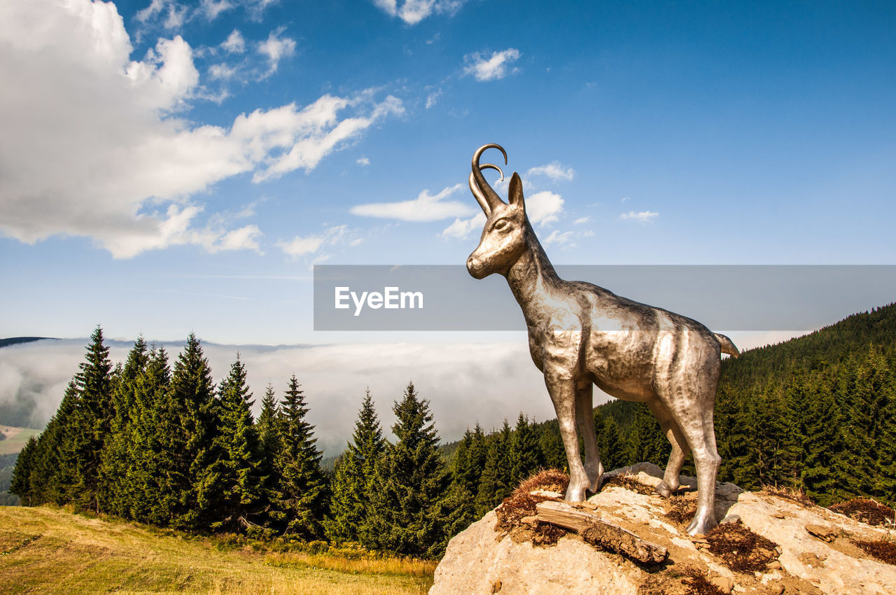 Chamois statue on mountain against sky