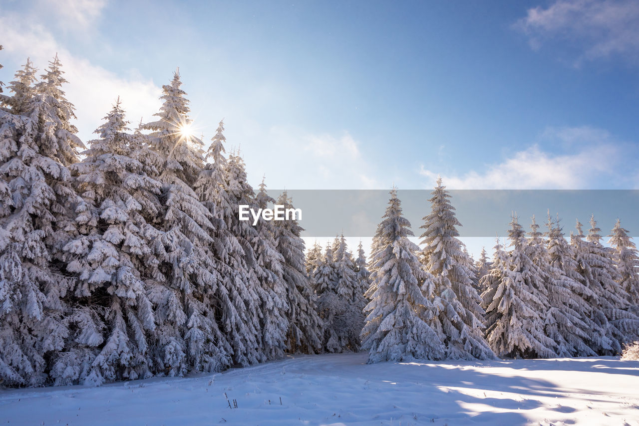 Colorful winter morning in the mountains at sunrise.