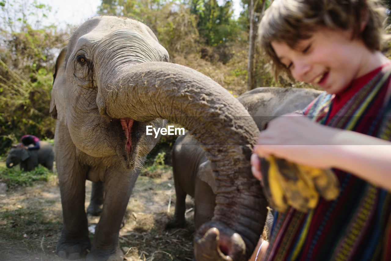 Boy feeding fruit to elephant