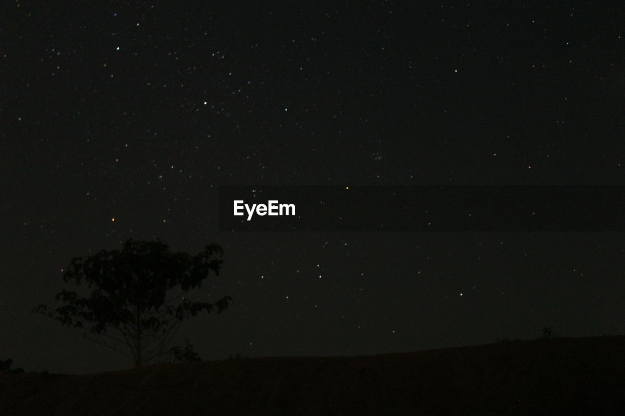 LOW ANGLE VIEW OF SILHOUETTE TREE AGAINST SKY AT NIGHT