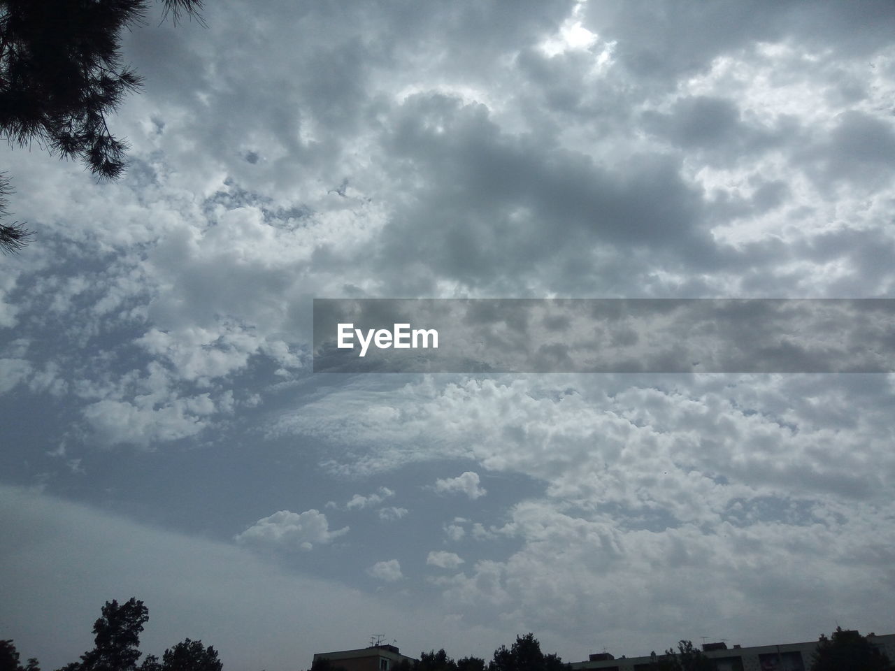 LOW ANGLE VIEW OF TREES AGAINST CLOUDY SKY