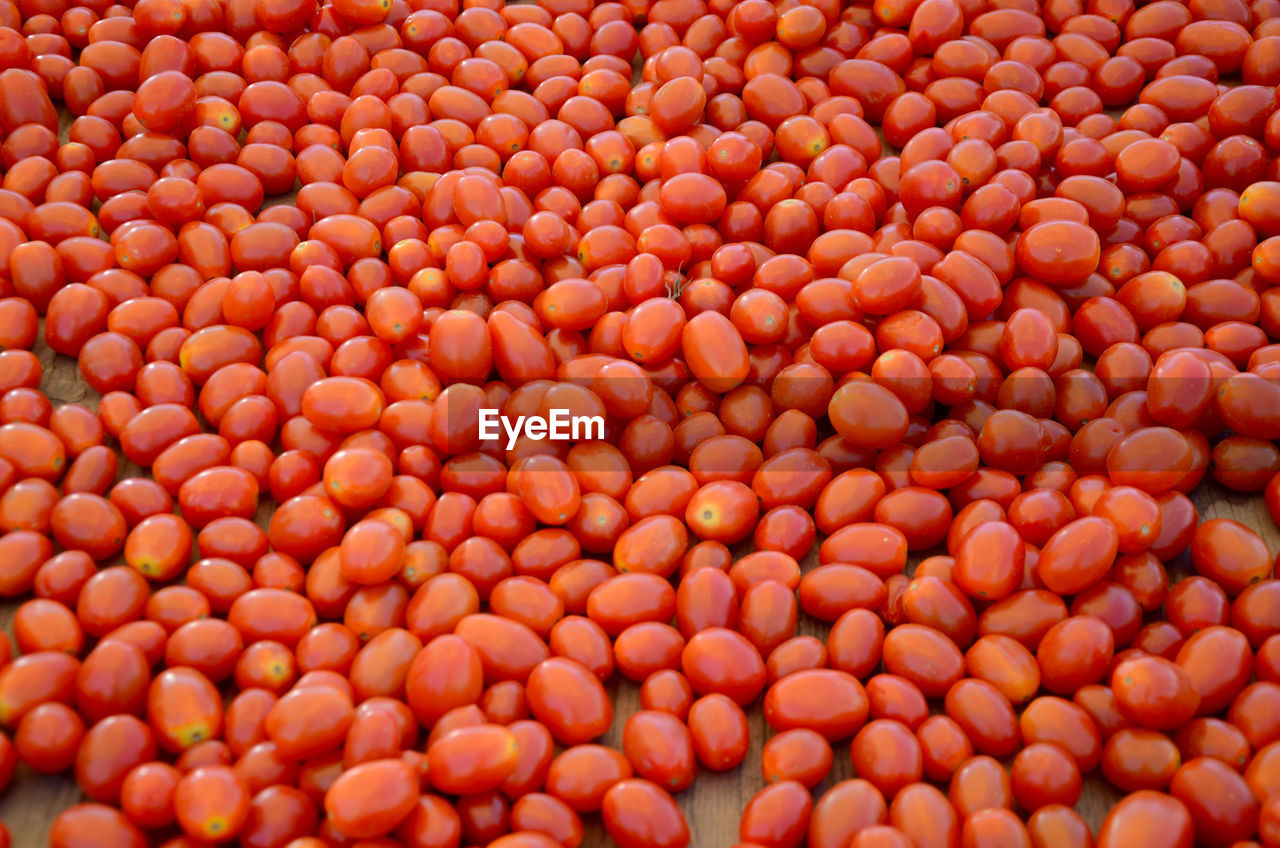 FULL FRAME SHOT OF FRESH TOMATOES