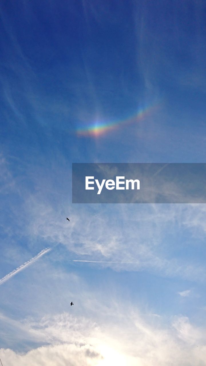 LOW ANGLE VIEW OF BIRDS FLYING AGAINST SKY