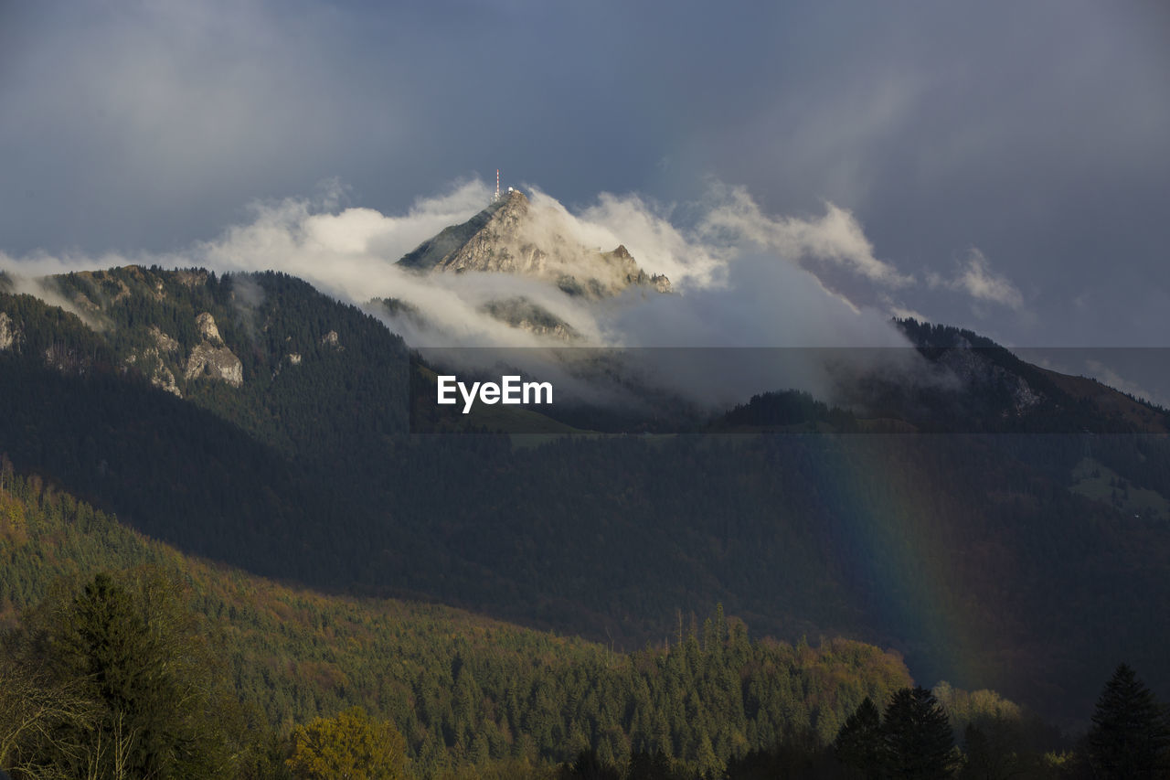 mountain, nature, environment, scenics - nature, landscape, mountain range, sky, cloud, land, beauty in nature, tree, plant, forest, fog, wilderness, pine tree, travel, no people, coniferous tree, pinaceae, mountain peak, travel destinations, morning, tourism, cold temperature, outdoors, pine woodland, ridge, winter, valley, highland, snow, non-urban scene, tranquility, mist, activity, plateau, tranquil scene, day, social issues, panoramic