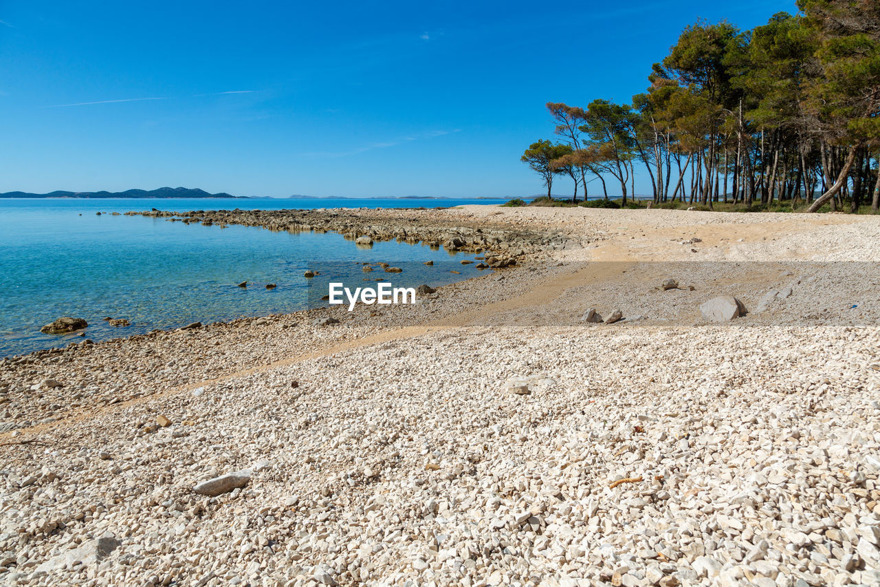 The rocky coast with the pebble beach and pine forest near pakostane in dalmacija