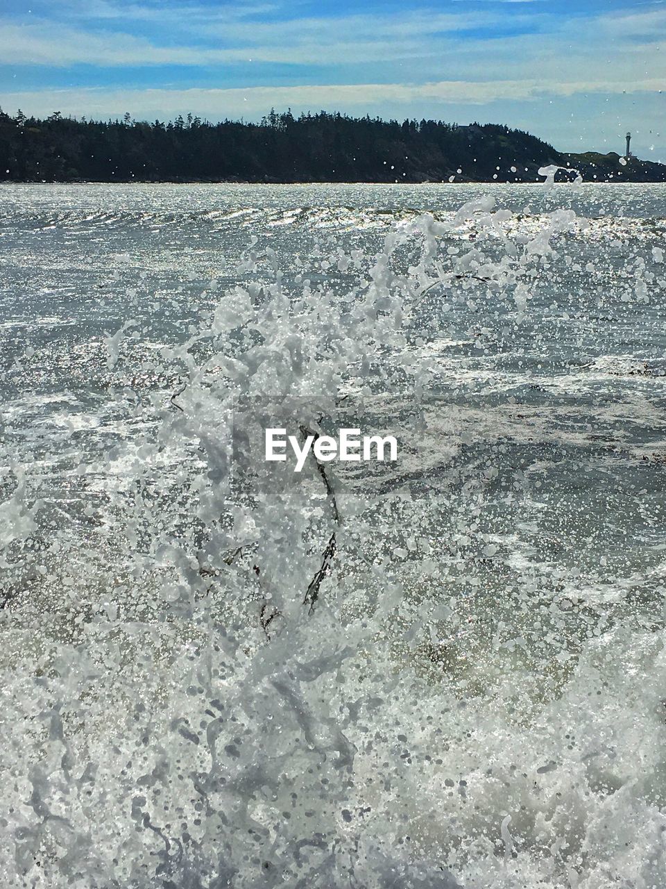 DUCK SWIMMING IN WATER AGAINST SKY