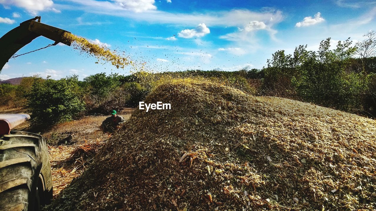 Farmer working on field against sky