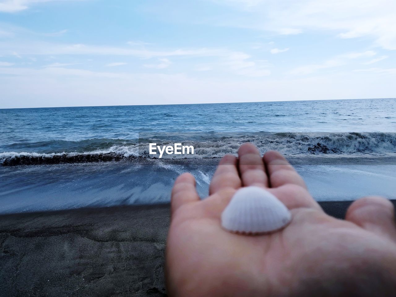 Cropped hand of person holding seashore