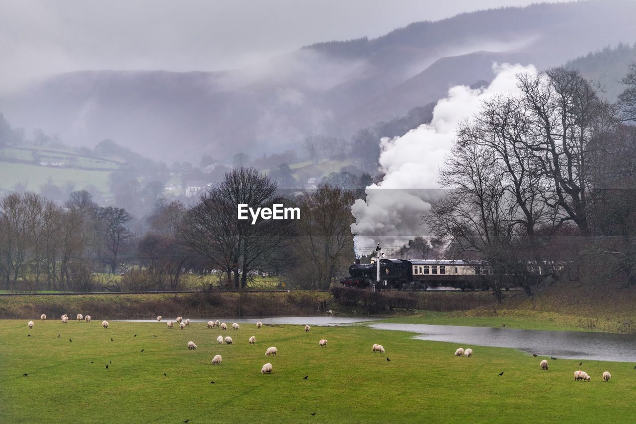 Steam engine train on landscape