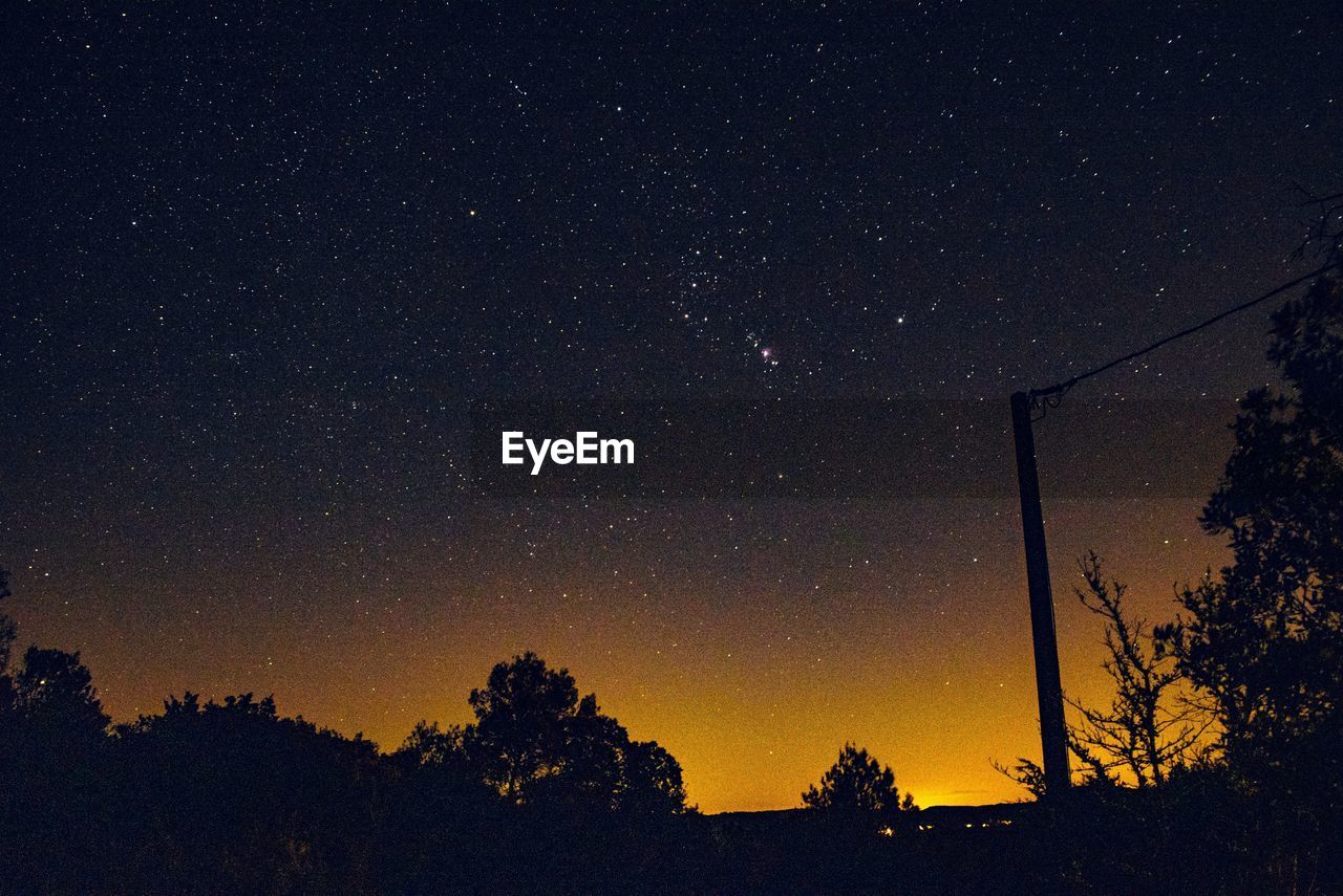 LOW ANGLE VIEW OF SILHOUETTE TREES AGAINST CLEAR SKY AT NIGHT