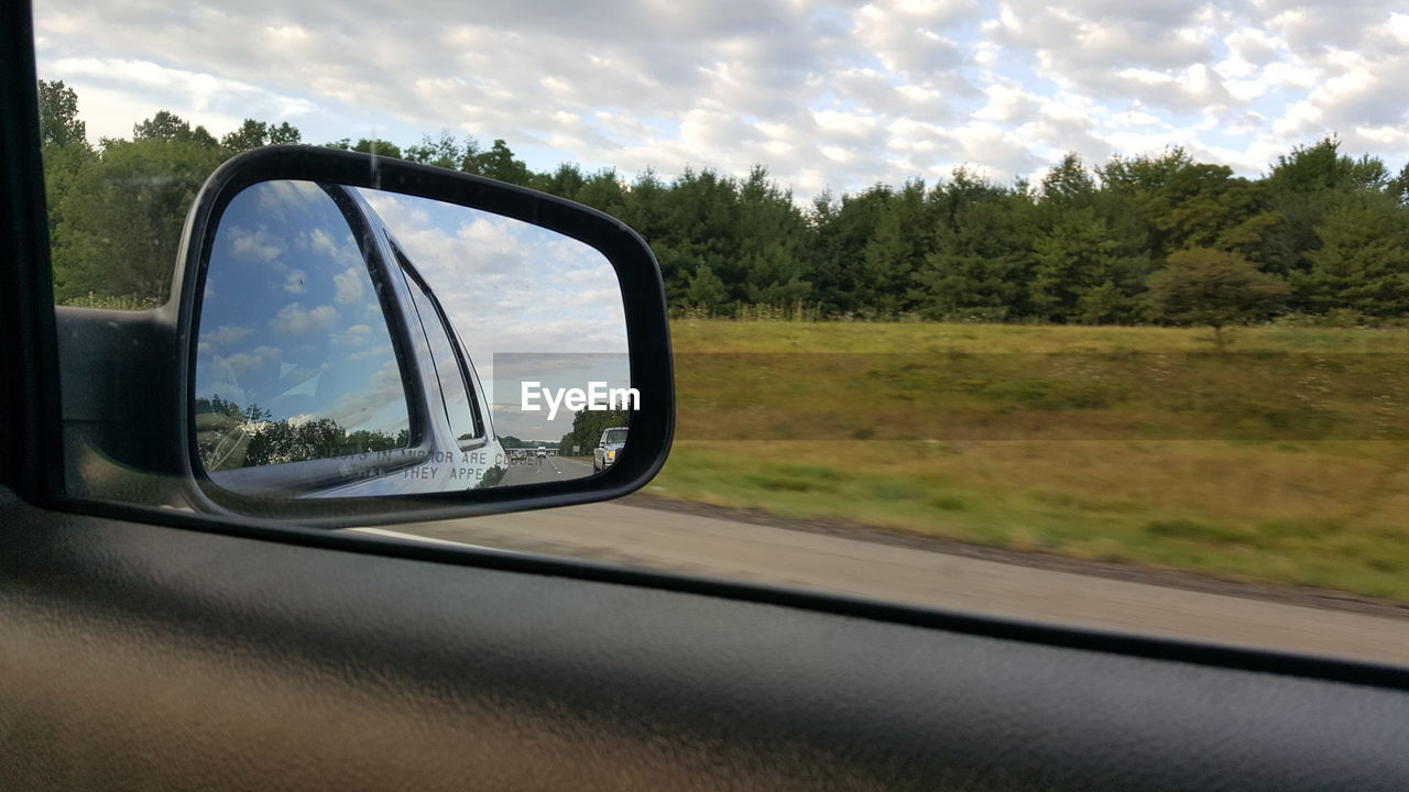 Reflection of trees in side-view mirror