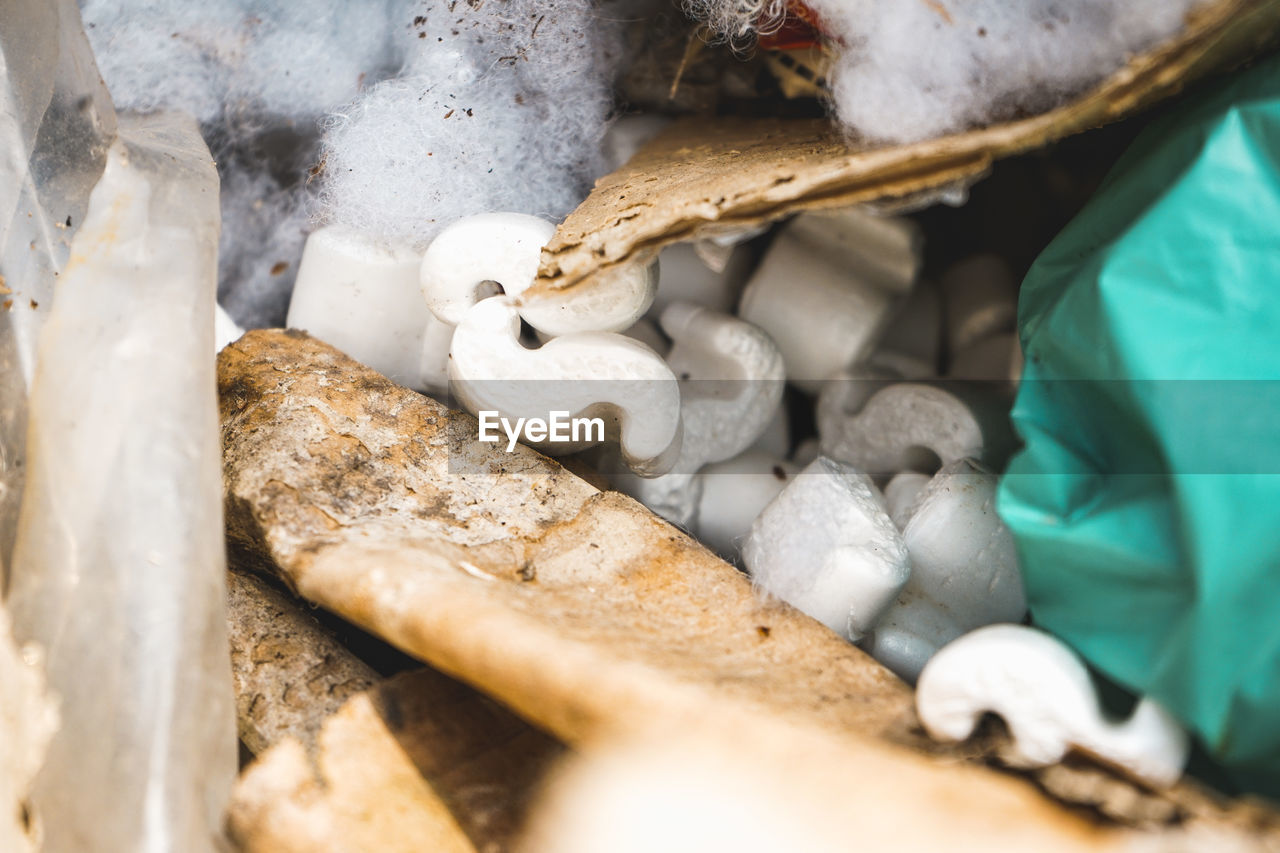 high angle view of fish in container