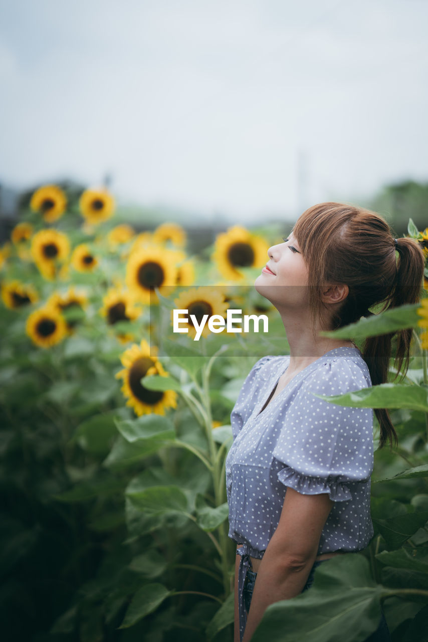 Woman standing against blooming sunflowers