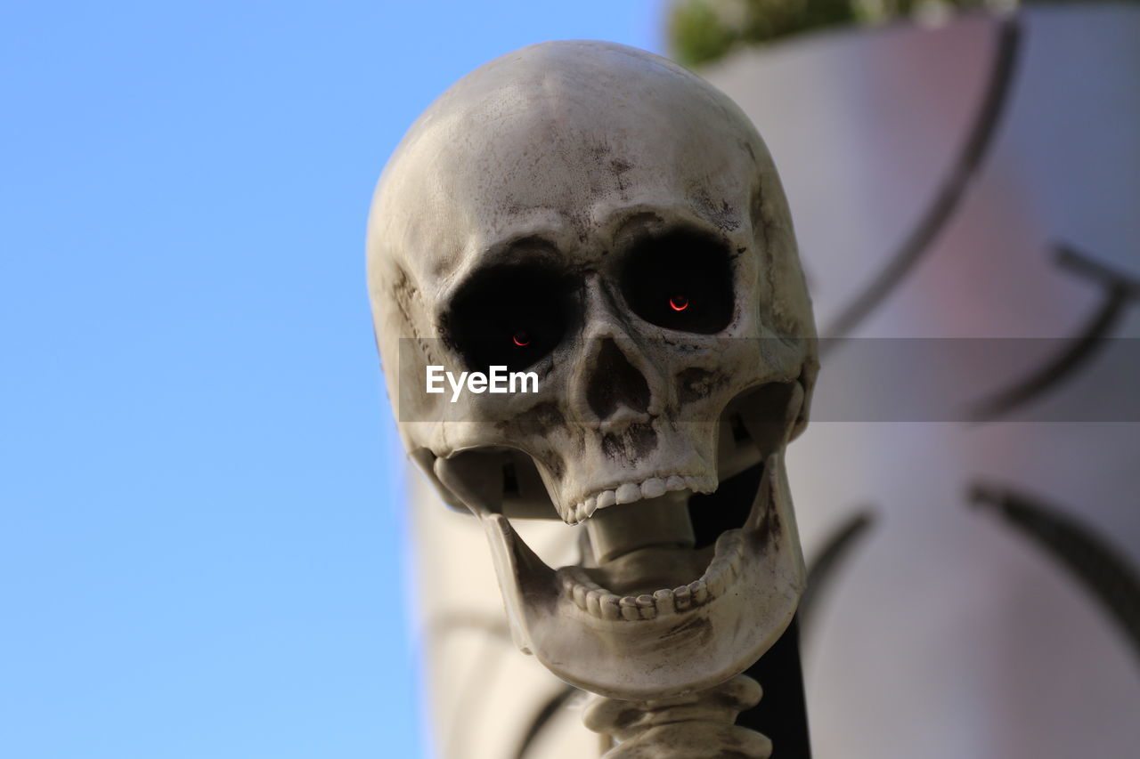 Close-up of human skull against blue sky