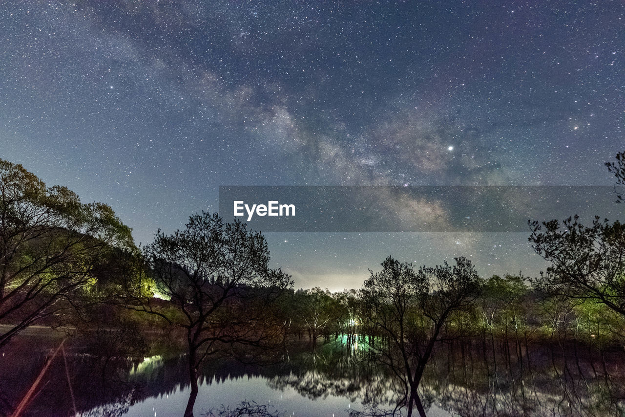 TREES AND LAKE AGAINST SKY AT NIGHT