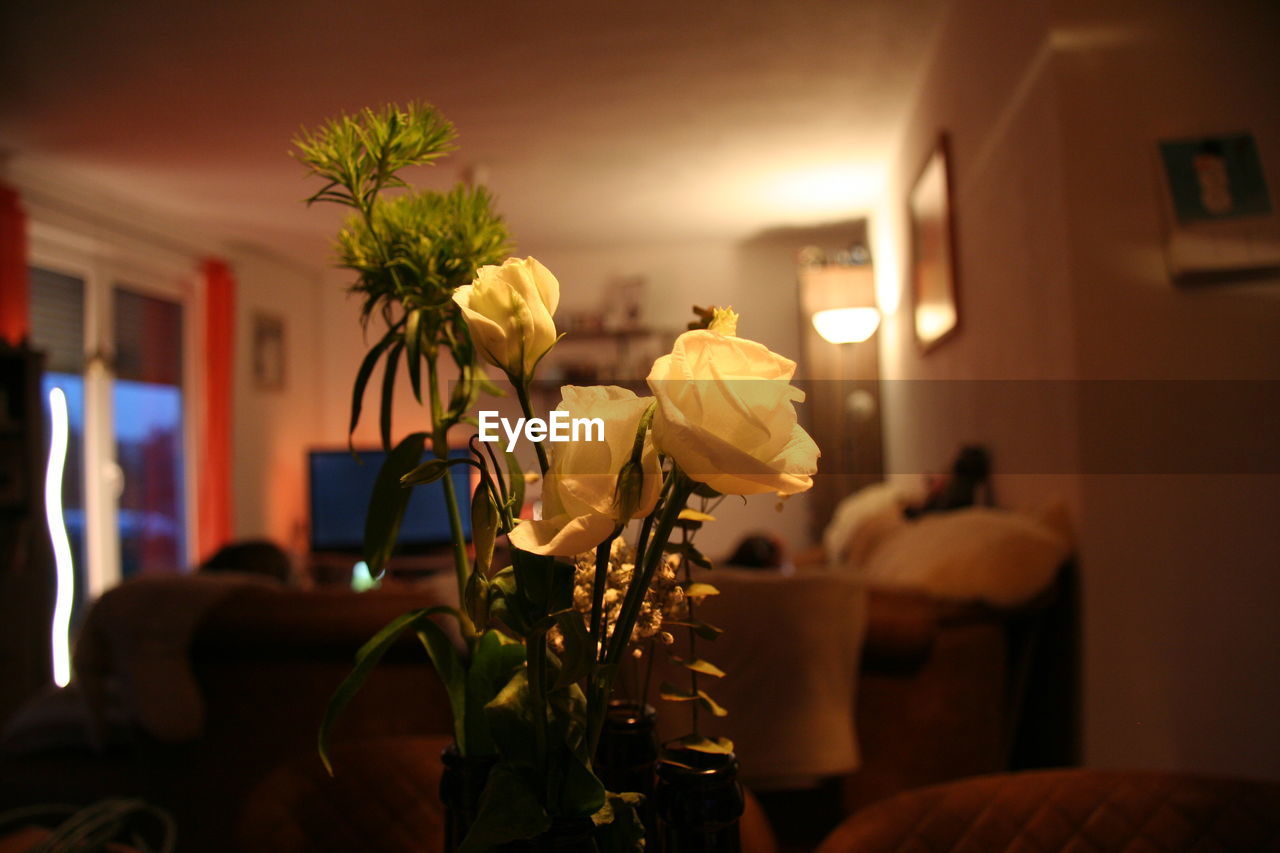 cropped hand of woman holding flowers