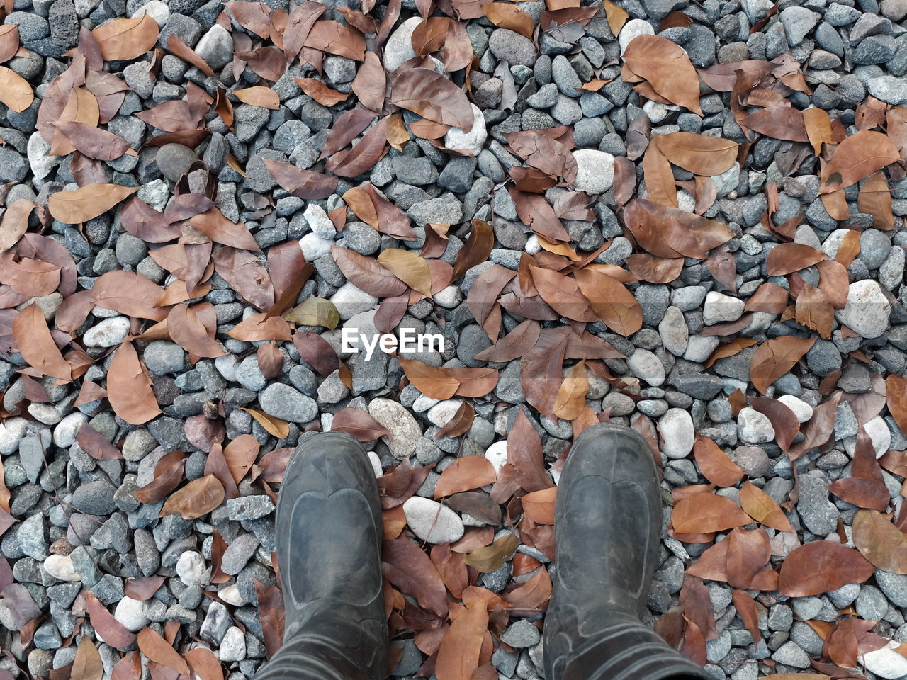 Low section of person standing on fallen leaves over rocks