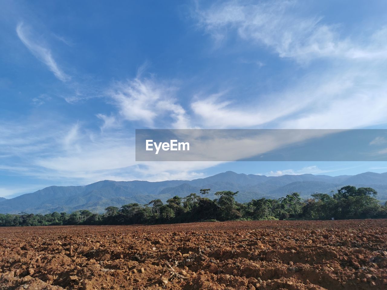 FIELD AGAINST SKY