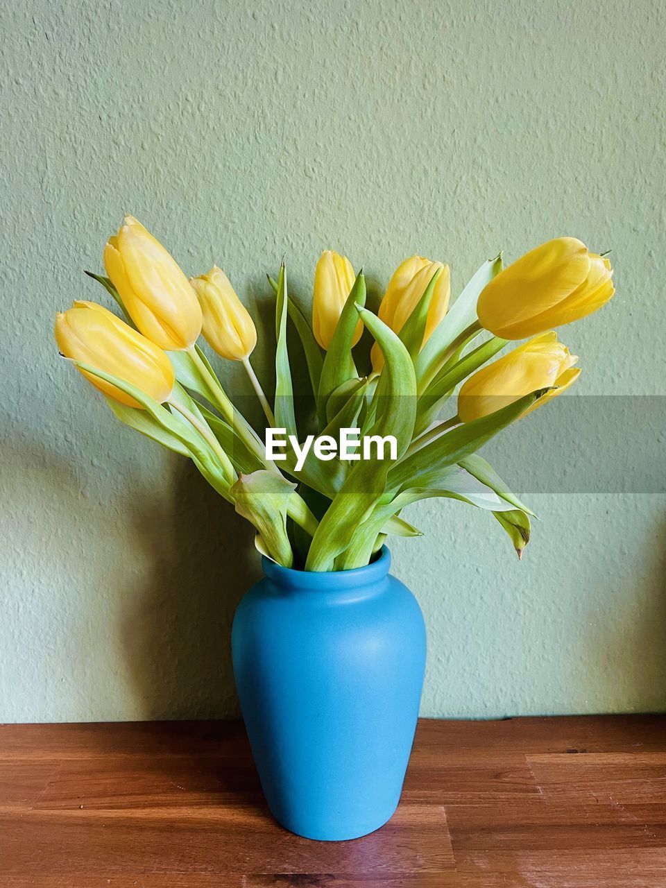 plant, flower, yellow, flowering plant, indoors, vase, freshness, nature, no people, wall - building feature, table, beauty in nature, close-up, bouquet, fragility, flowerpot, cut flowers, wood, still life, flower head, home interior, green, flower arrangement, decoration, floristry, bunch of flowers, arrangement