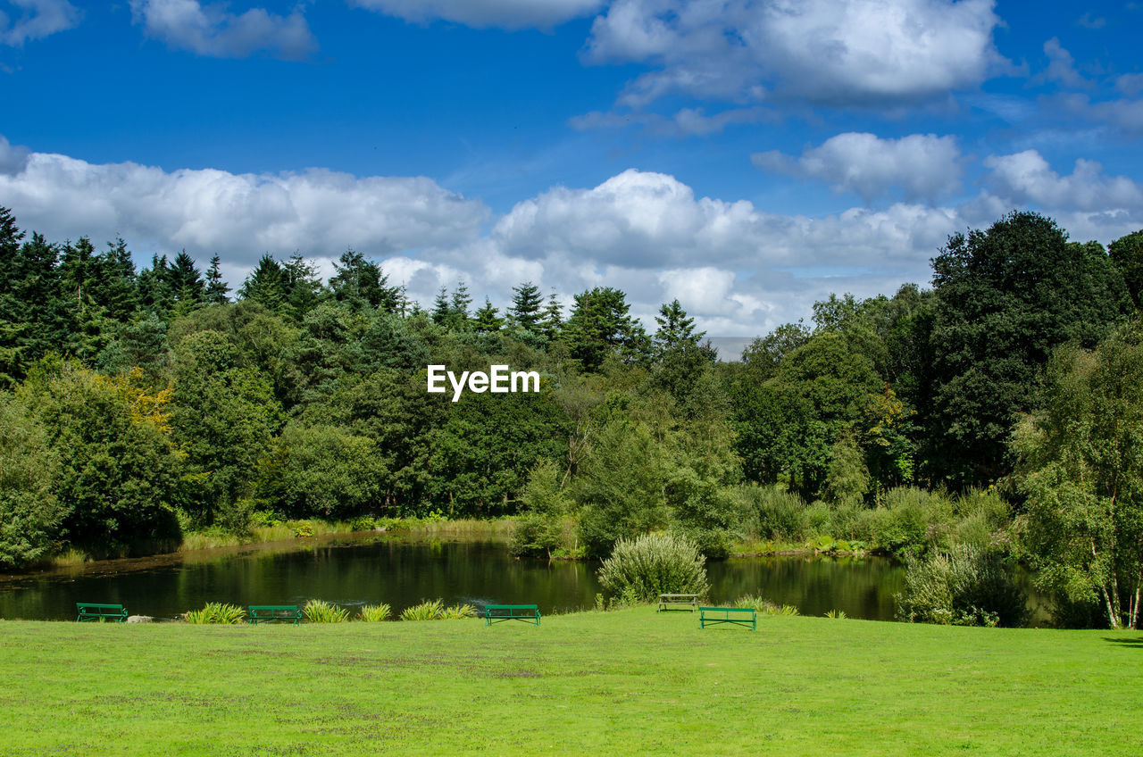 SCENIC VIEW OF LAKE AGAINST TREES