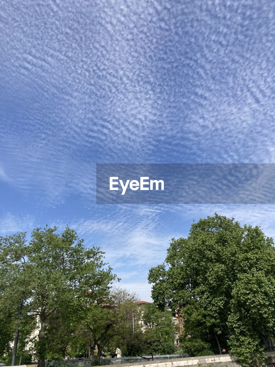 LOW ANGLE VIEW OF TREES AND BUILDING AGAINST BLUE SKY