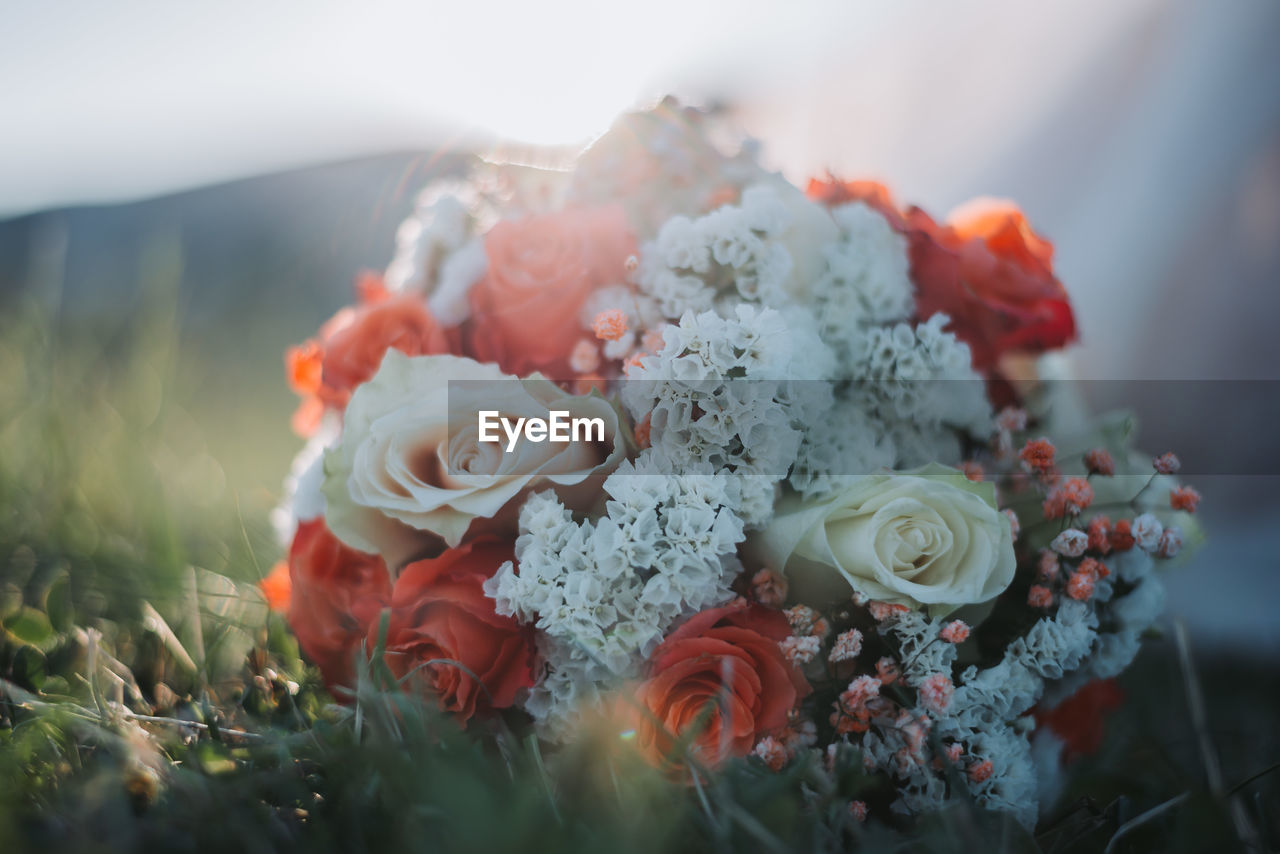 Close-up of rose bouquet