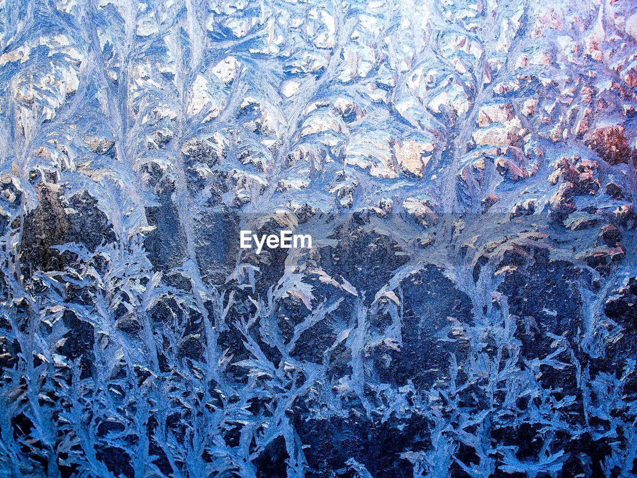 CLOSE-UP OF SNOWFLAKES ON WINDOW