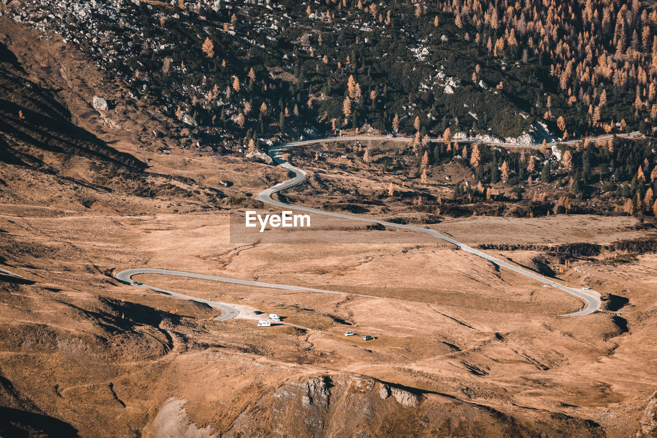 HIGH ANGLE VIEW OF TREES ON LAND