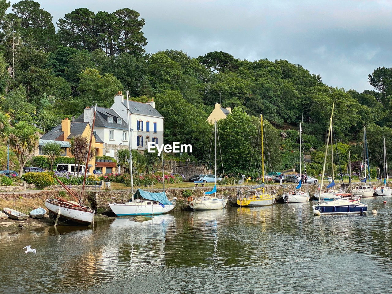 Sailboats moored on river by trees and buildings