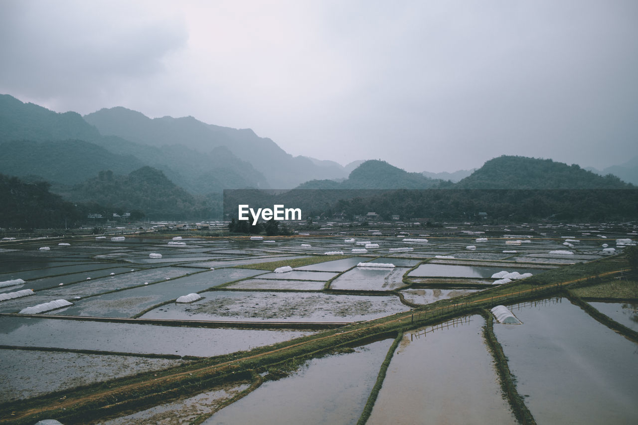 Scenic view of agricultural field against sky