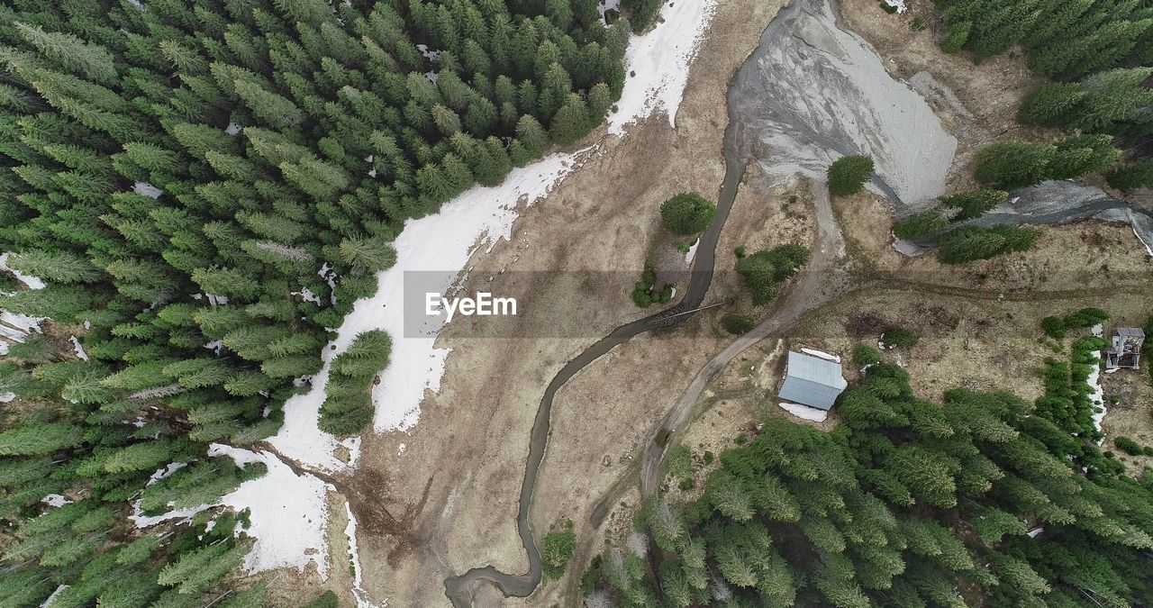 Aerial view of road amidst trees